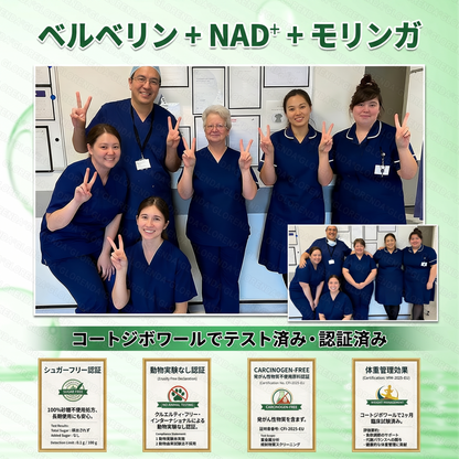 公式ストア｜♠️𝐆𝐥𝐨𝐫𝐞𝐧𝐝𝐚® モリンガ・ベルベリン × NAD+ 10-in-1 高機能ナノマイクロニードルパッチ