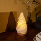 Loofah Table Lamp with Reading Light--Bamboo Shoot Shape