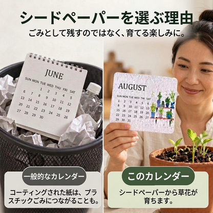 女性とシードペーパーカレンダーの比較紹介
